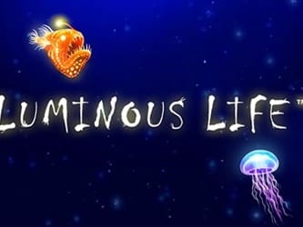 Luminous Life